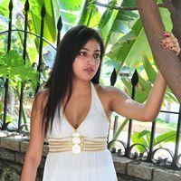 Haripriya New Photo Shoot - Pictures | Picture 115653